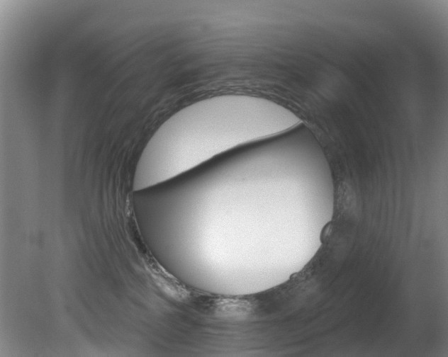 X0000081280234200701110942