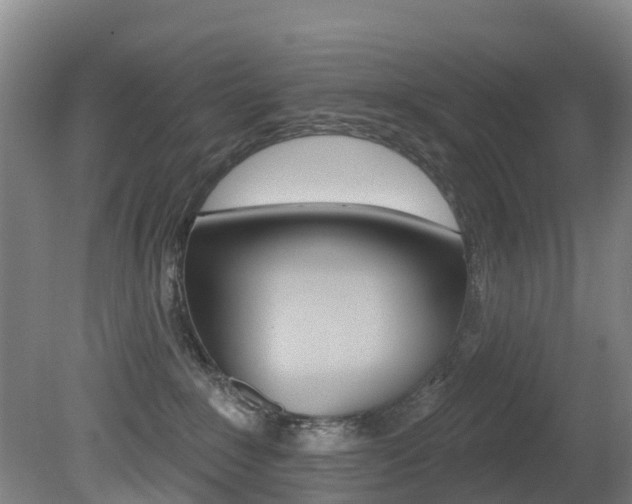 X0000081280235200701110942