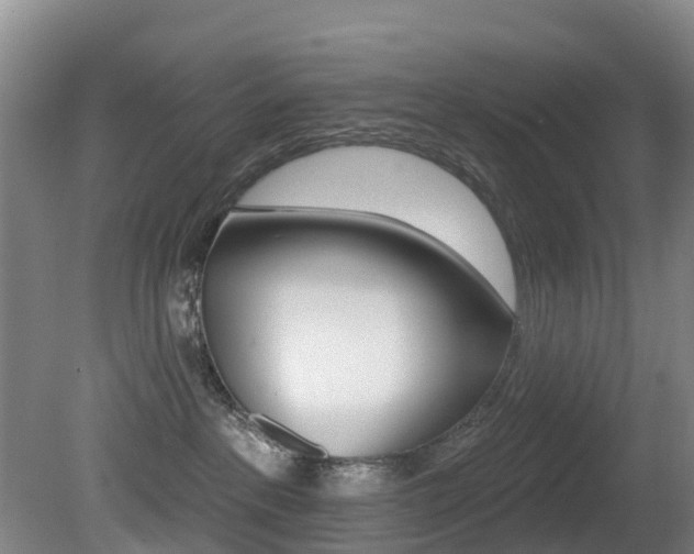X0000081280237200701110942
