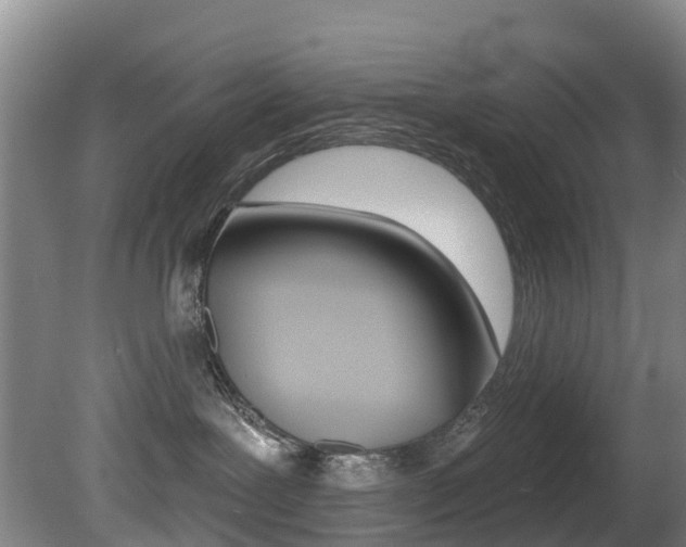 X0000081280239200701110942