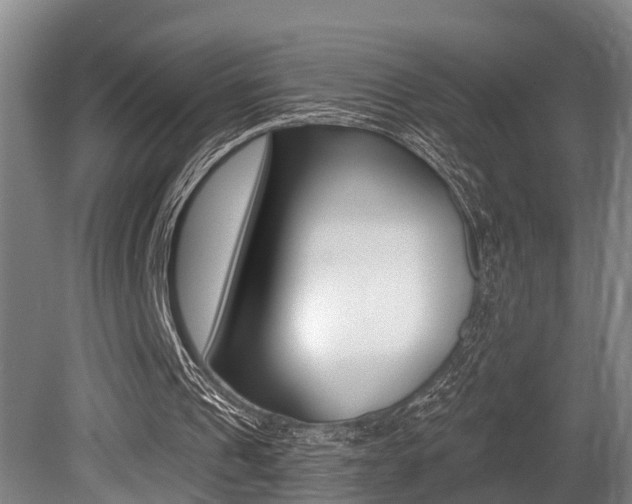 X0000081280241200701110941