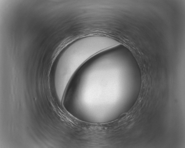 X0000081280242200701110941