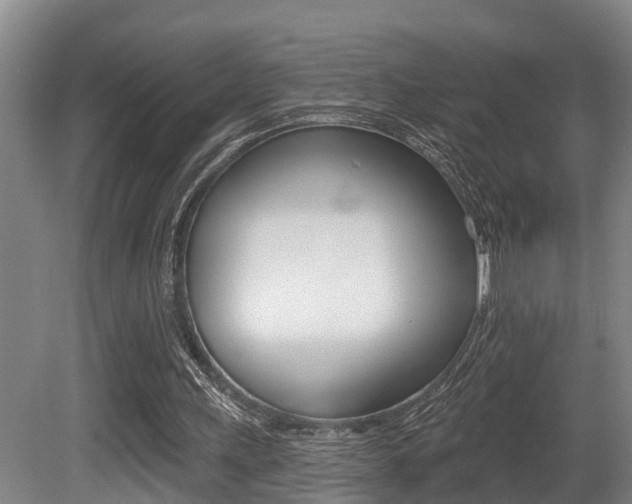 X0000081280243200701110941