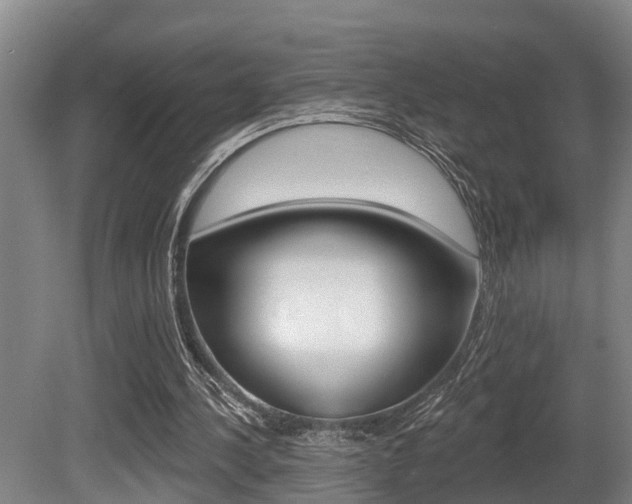 X0000081280244200701110941