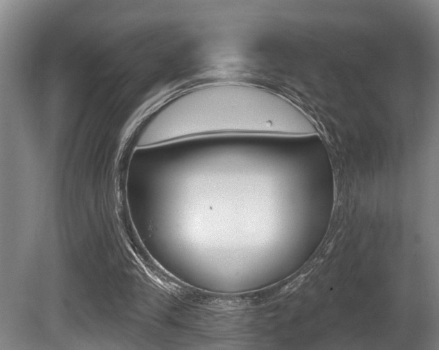 X0000081280245200701110941
