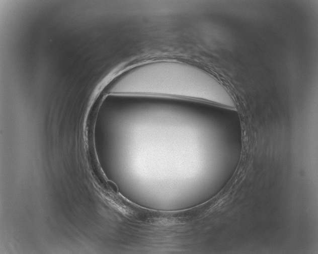 X0000081280246200701110941