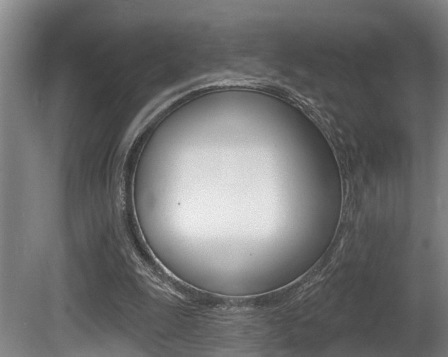 X0000081280247200701110941