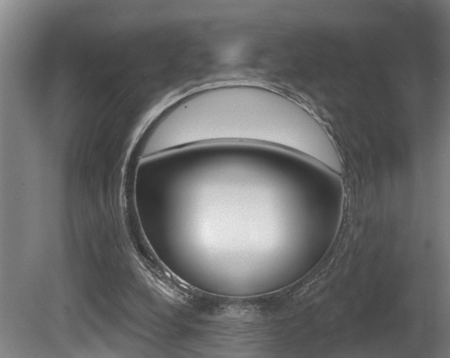 X0000081280248200701110941