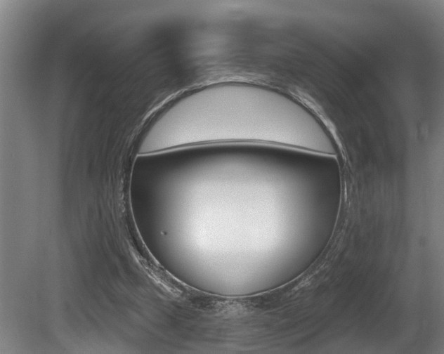 X0000081280249200701110941
