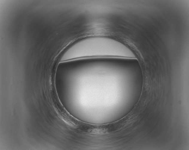X0000081280251200701110941