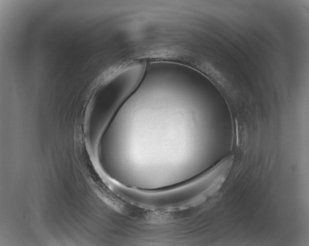 X0000081280252200701110941