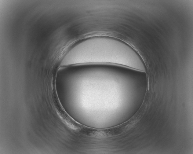 X0000081280253200701110941