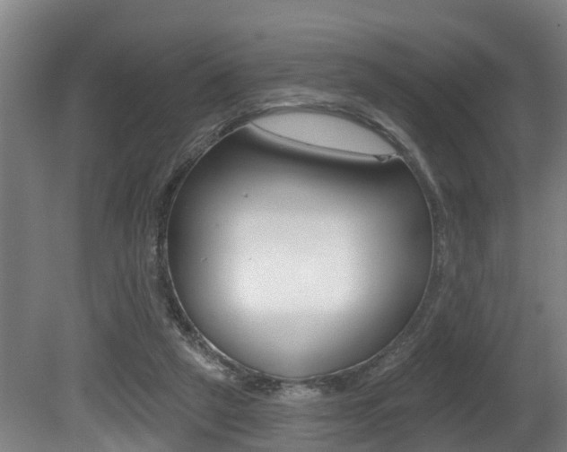 X0000081280257200701110941