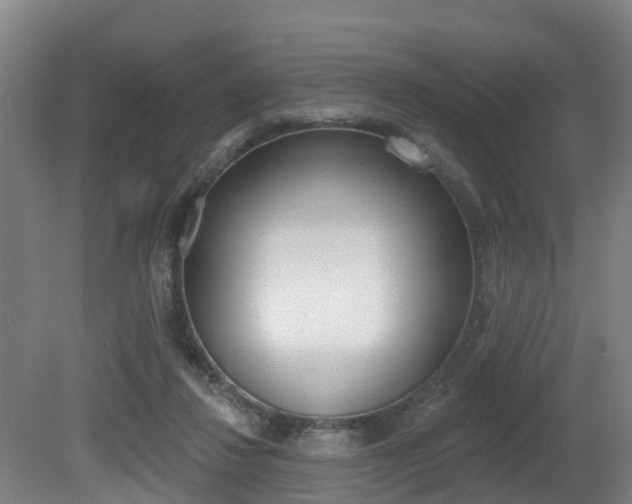 X0000081280260200701110941