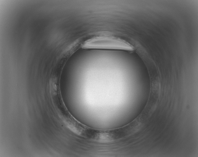 X0000081280264200701110942