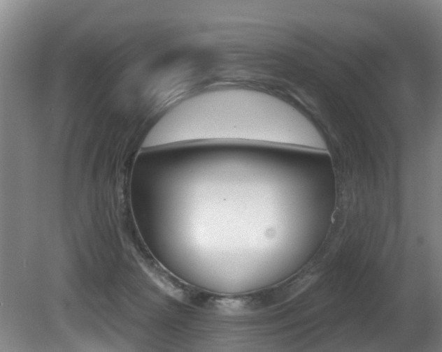 X0000081280265200701110942