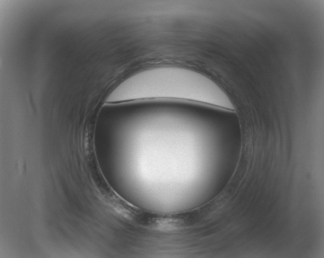 X0000081280268200701110942