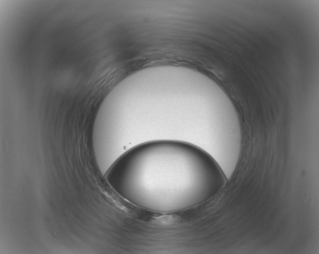 X0000081280269200701110942