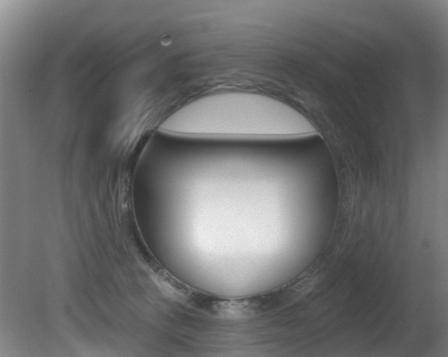 X0000081280273200701110942