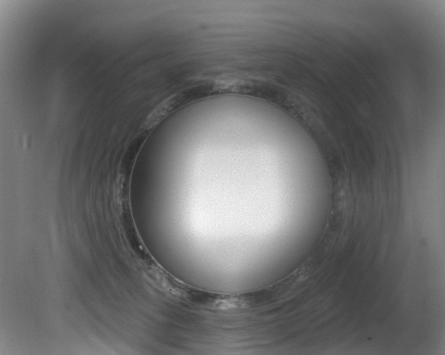 X0000081280275200701110942