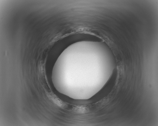 X0000081280276200701110942