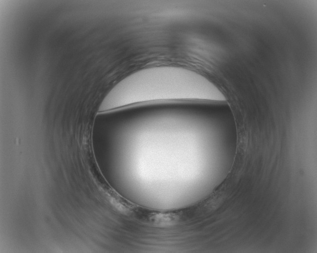 X0000081280277200701110942