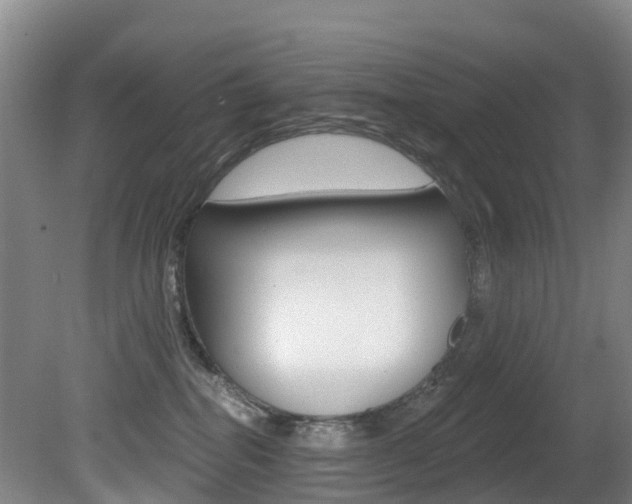 X0000081280282200701110942