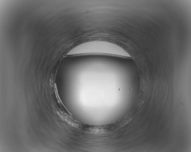X0000081280284200701110942