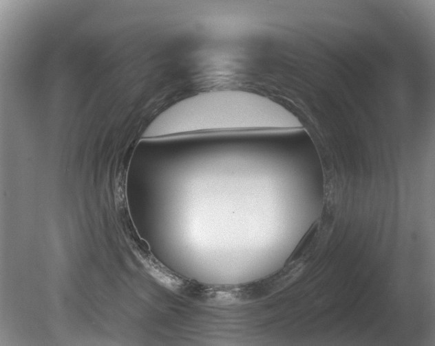 X0000081280285200701110942