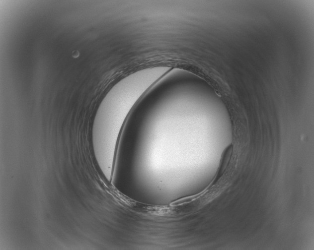 X0000081280288200701110942