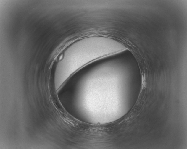 X0000081280291200701110941
