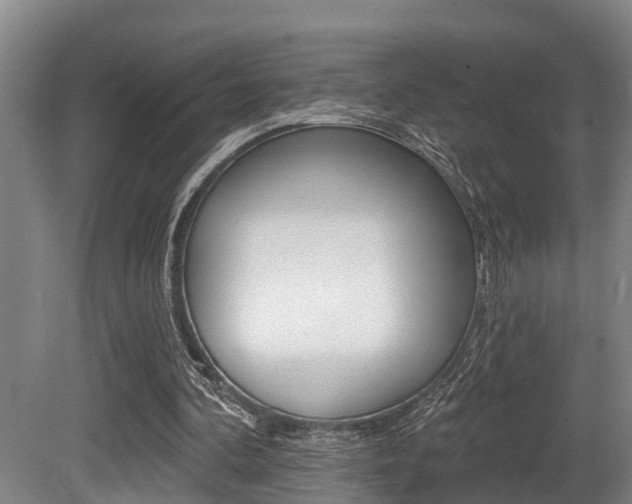 X0000081280292200701110941