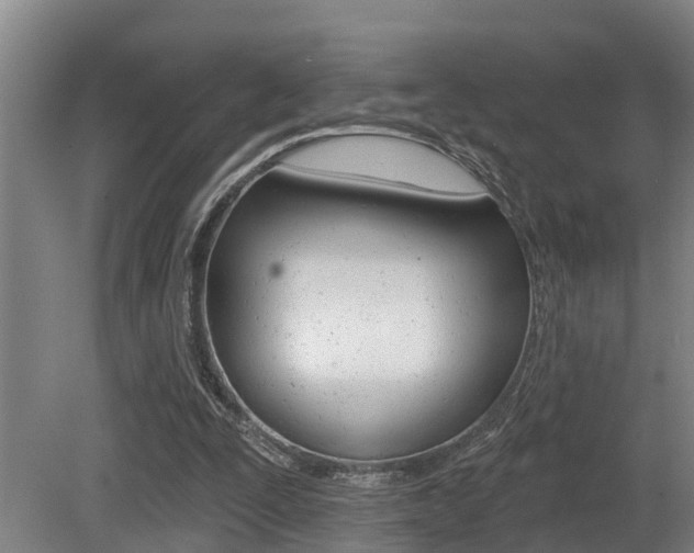X0000081280295200701110941