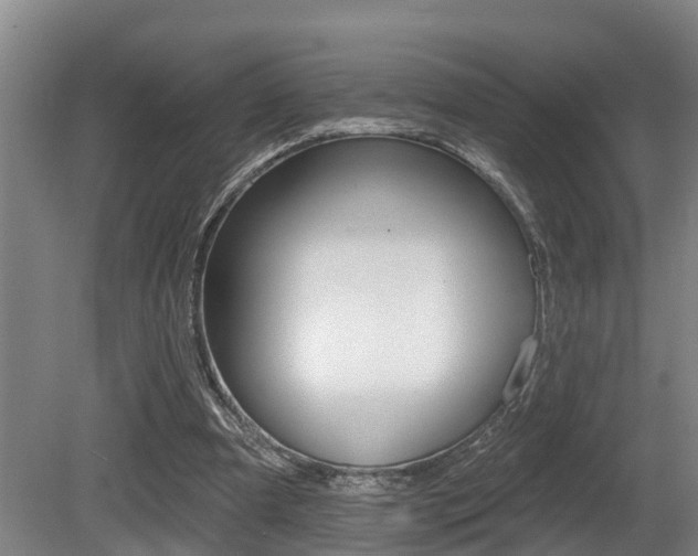 X0000081280297200701110941
