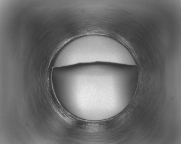 X0000081280298200701110941