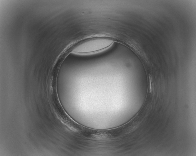 X0000081280300200701110941