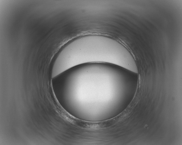 X0000081280301200701110941