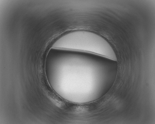 X0000081280303200701110941