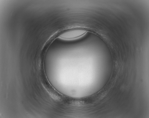X0000081280304200701110941