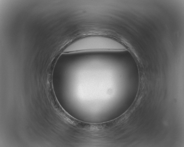 X0000081280305200701110941