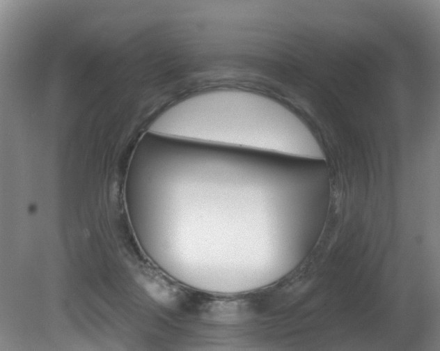 X0000081280314200701110941