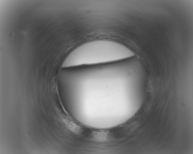 X0000081280318200701110941