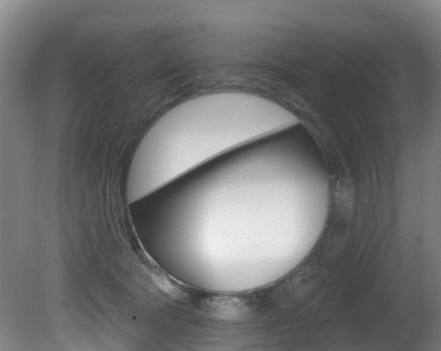X0000081280322200701110941