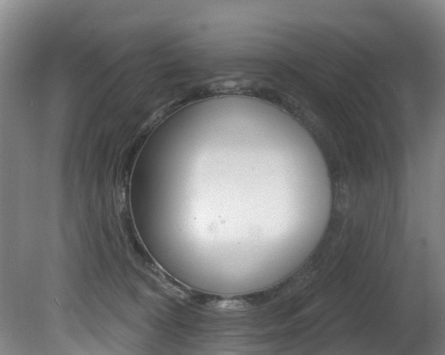X0000081280324200701110941