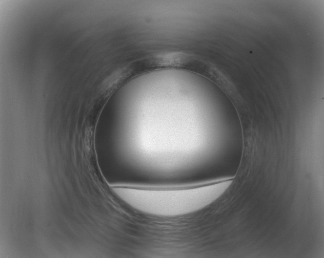 X0000081280325200701110941
