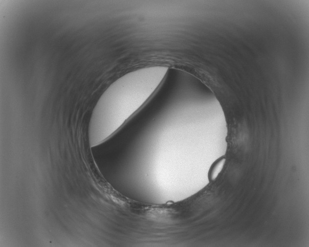 X0000081280332200701110940