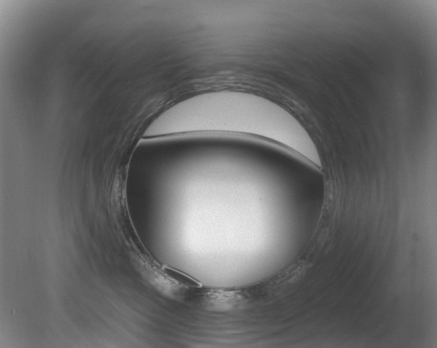 X0000081280333200701110940