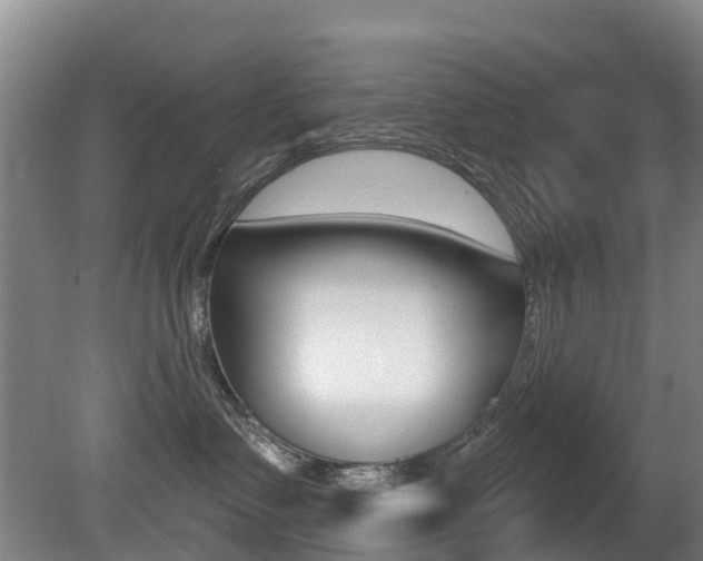 X0000081280335200701110940