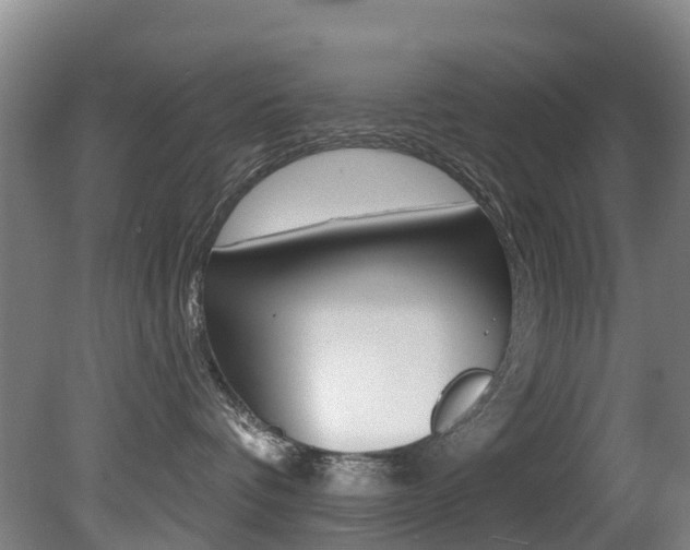 X0000081280336200701110940