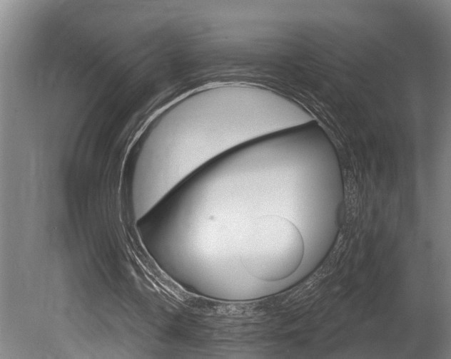 X0000081280338200701110940